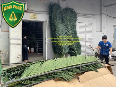 CUNG CẤP LÁ DỪA LÕI THÉP TRANG TRÍ CỘT ANTEN, CỘT VIỄN THÔNG